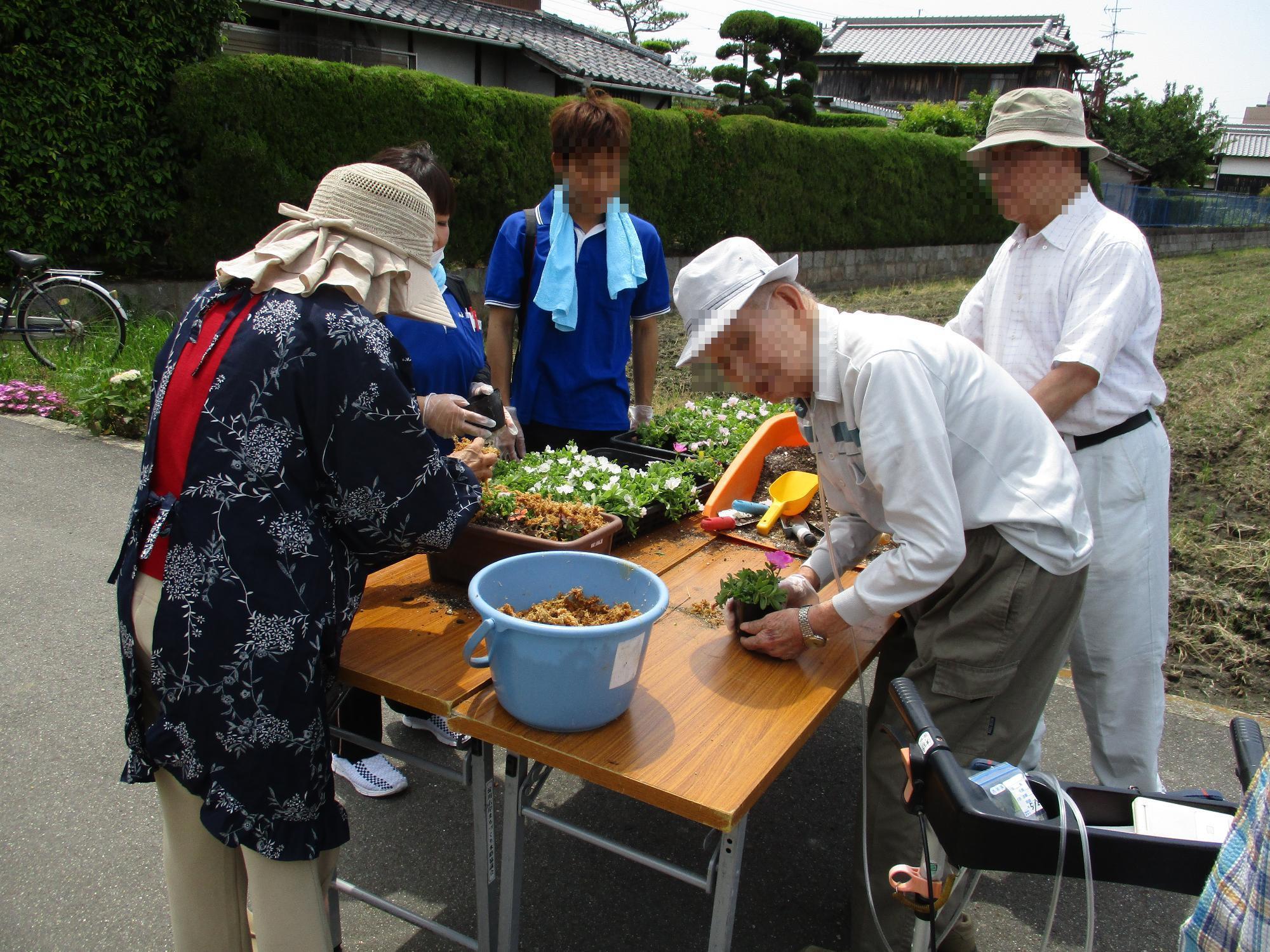 三島江花一杯運動で花の苗をハンギングバスケットに植栽する地元の人々