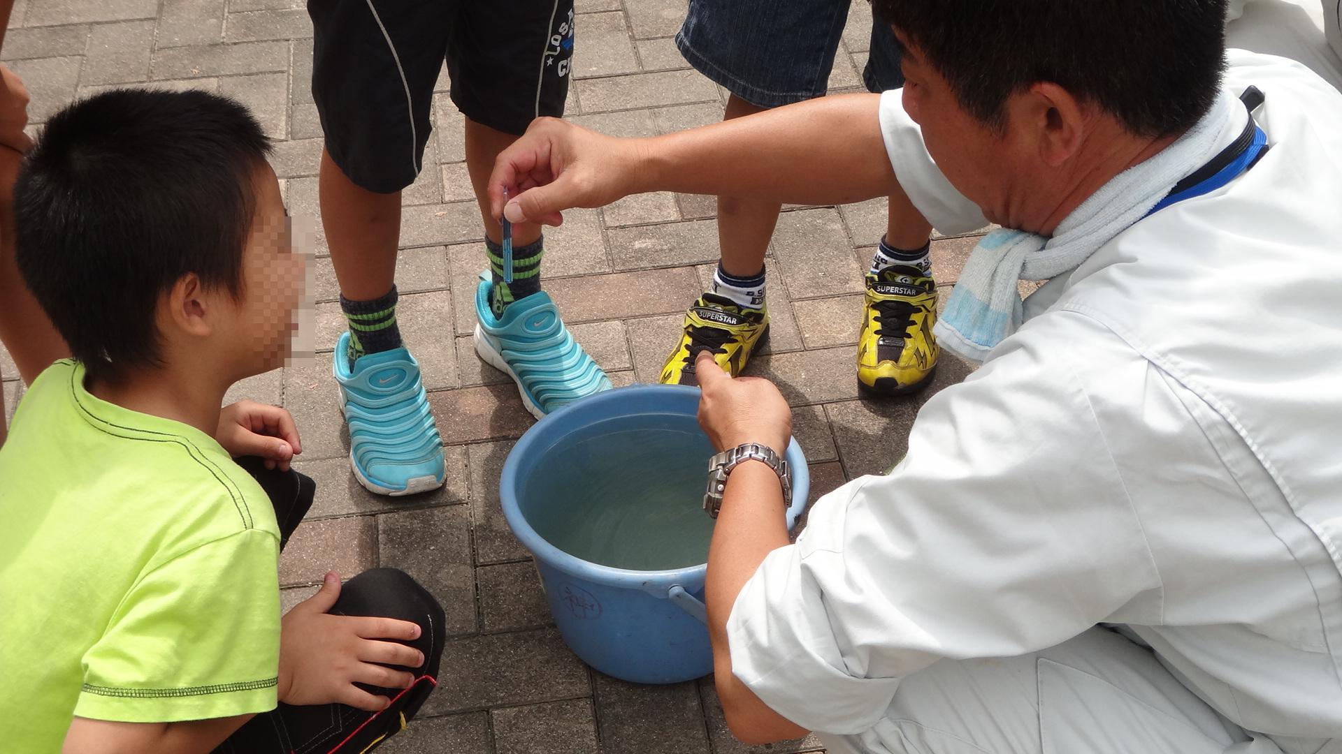 水質調査をする小学生